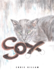 Image for Sox