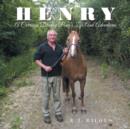 Image for Henry  : a carriage driving pony&#39;s life and adventures