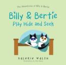 Image for Billy &amp; Bertie Play Hide and Seek
