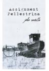 Image for Assignment Pellestrina