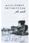 Image for Assignment Pellestrina