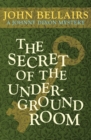 Image for The Secret of the Underground Room : 8