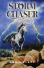 Image for Storm Chaser