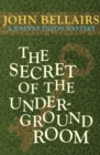 Image for The Secret of the Underground Room