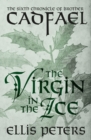 Image for Virgin in the Ice
