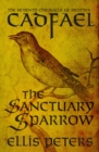 Image for Sanctuary Sparrow