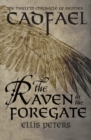 Image for Raven in the Foregate