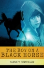 Image for The Boy on a Black Horse