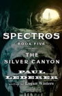 Image for The Silver Canyon