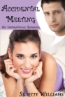 Image for Accidental Meeting