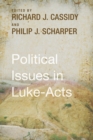 Image for Political Issues in Luke-Acts