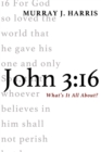 Image for John 3:16: What&#39;s It All About?