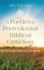 Image for A Poetics of Postcolonial Biblical Criticism