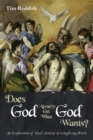 Image for Does God Always Get What God Wants?: An Exploration of God&#39;s Activity in a Suffering World