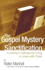 Image for The Gospel Mystery of Sanctification