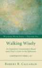 Image for Walking Wisely