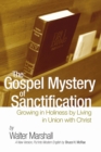 Image for Gospel Mystery of Sanctification: Growing in Holiness by Living in Union with Christ