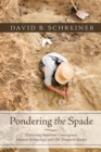 Image for Pondering the Spade: Discussing Important Convergences between Archaeology and Old Testament Studies