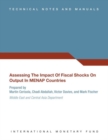 Image for Assessing the impact of fiscal shocks on output In MENAP countries