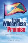 Image for From Wilderness to Promise