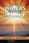 Image for Shallow Waters Healing Deep Wounds