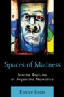 Image for Spaces of madness  : insane asylums in Argentine narrative