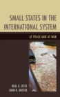 Image for Small States in the International System