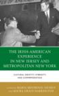 Image for The Irish experience in New Jersey and metropolitan New York  : cultural identity, hybridity, and commemoration