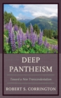 Image for Deep pantheism  : toward a new transcendentalism