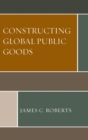 Image for Constructing global public goods