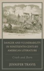 Image for Danger and vulnerability in the American imagination  : crash and burn