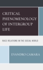 Image for The critical phenomenology of intergroup life  : race relations in the social world