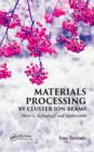 Image for Materials processing by cluster ion beams: history, technology, and applications