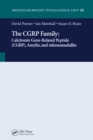 Image for The CGRP family: Calcitonin, gene-related peptide (CGRP), amylin, and adrenomedullin : 10