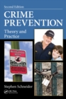 Image for Crime prevention: theory and practice