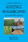 Image for Compendium of bioenergy plants.: (Sugarcane)