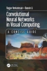 Image for Convolutional neural networks in visual computing  : a concise guide