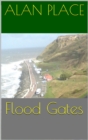 Image for Flood Gates