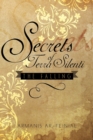 Image for Secrets of Terra Silenti