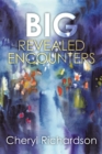 Image for Big Revealed Encounters