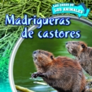Image for Madrigueras de castores (Inside Beaver Lodges)