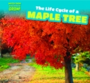 Image for Life Cycle of a Maple Tree
