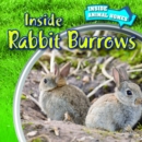 Image for Inside Rabbit Burrows