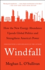 Image for How the new energy abundance is changing global politics