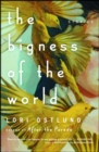 Image for Bigness of the World: Stories