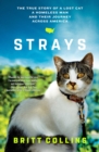 Image for Strays: a lost cat, a drifter, and their journey across America