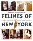 Image for Felines of New York : A Glimpse Into the Lives of New York&#39;s Feline Inhabitants