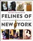 Image for Felines of New York: A Glimpse Into the Lives of New York&#39;s Feline Inhabitants