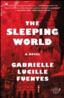 Image for Sleeping World: A Novel