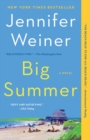 Image for Big Summer : A Novel